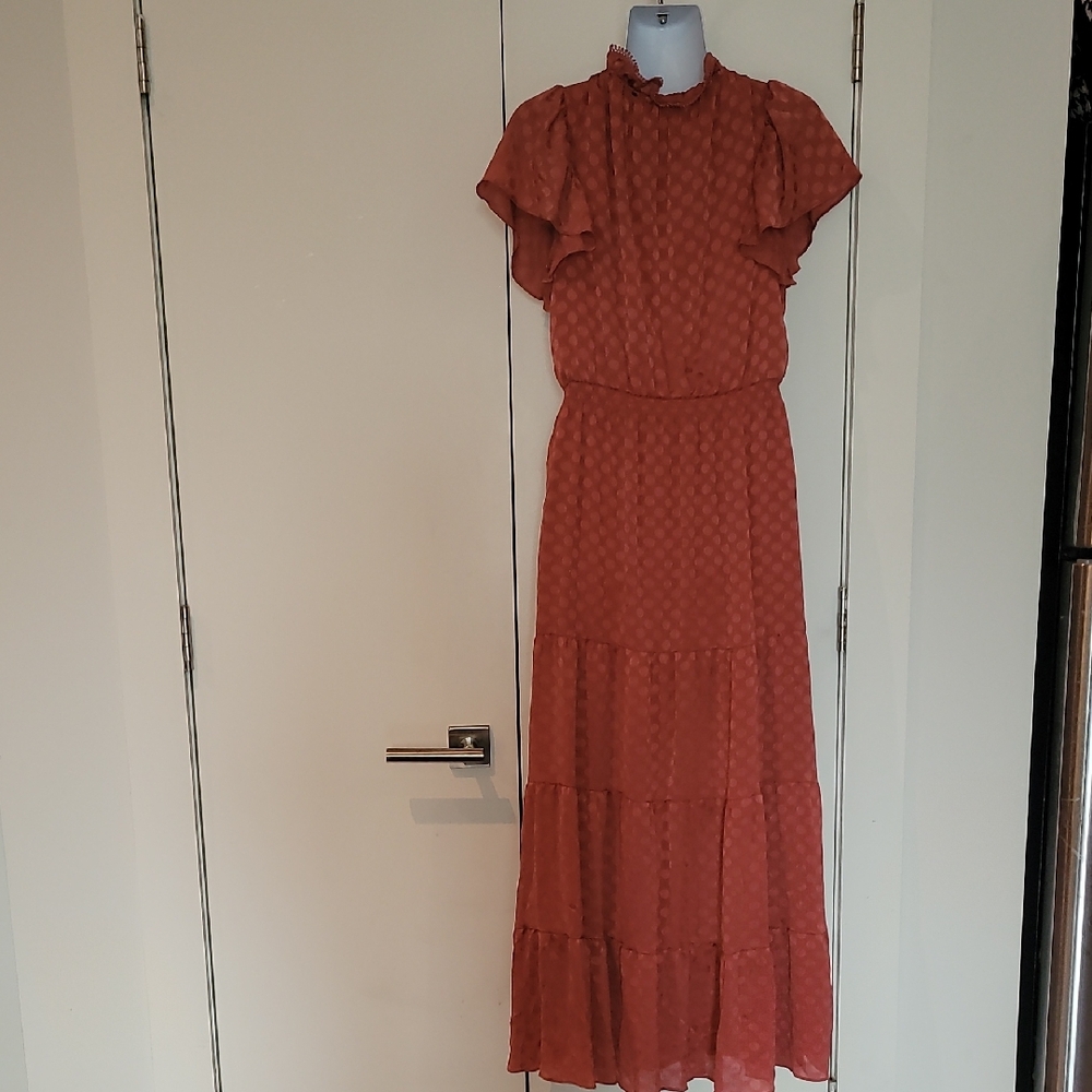 Max Studio Copper Ruffled Maxi Dress - Picture 4 of 8